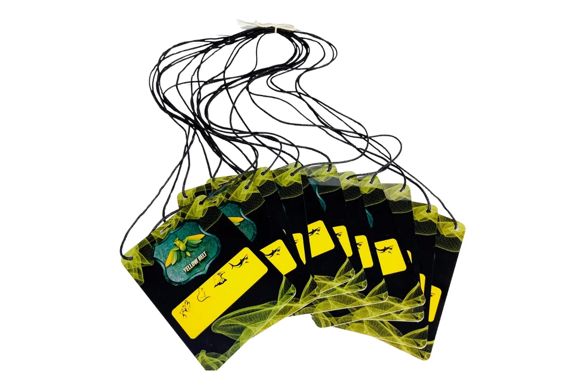 Orçamento 16 Credenciais para evento em PVC rígido, com cordão preto